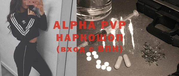 стаф Верея