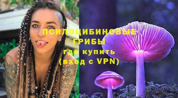ешки Верхний Тагил