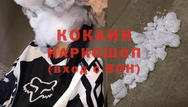 стаф Верея