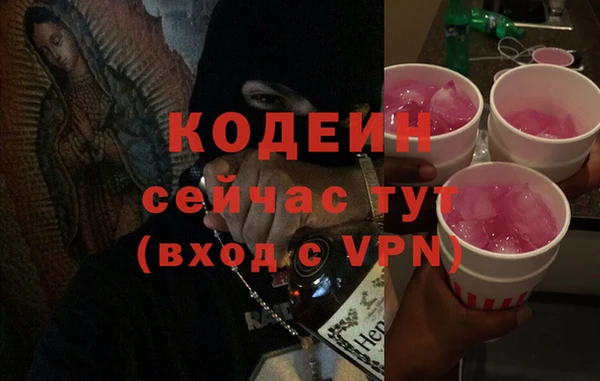 стаф Верея