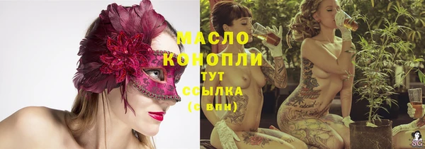 стаф Верея